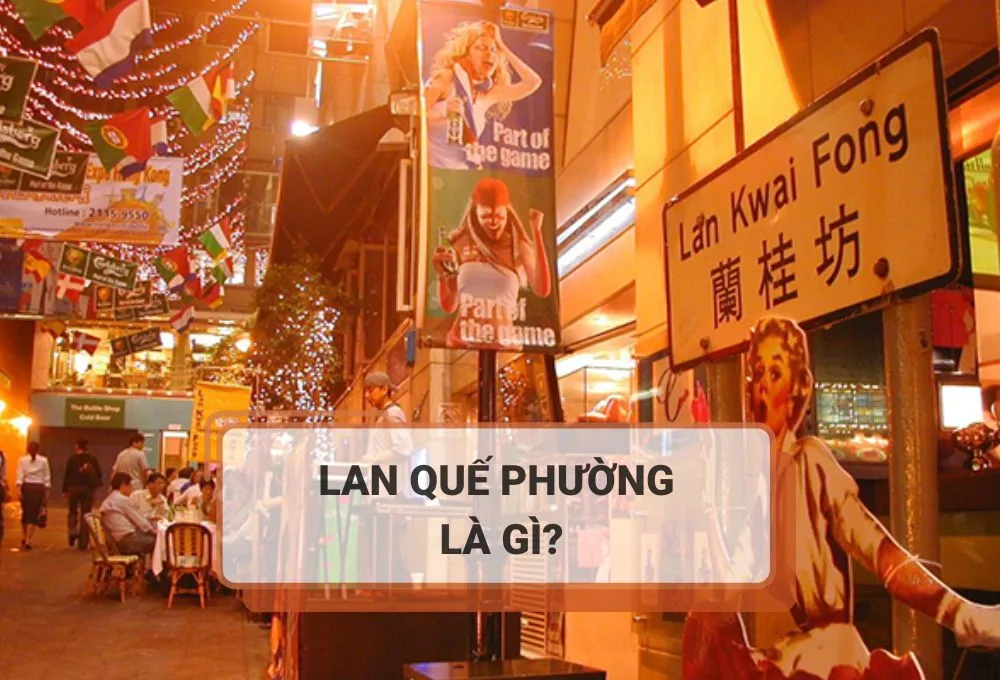 Lan Quế Phường là gì