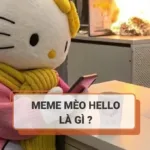 Meme mèo Hello là gì? Nguồn gốc và mức độ viral của meme mèo Hello