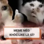 Meme mèo khóc like là gì? Tổng hợp mẫu meme mèo khóc like hot nhất mạng xã hội