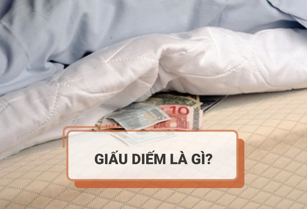 Giấu diếm là gì?