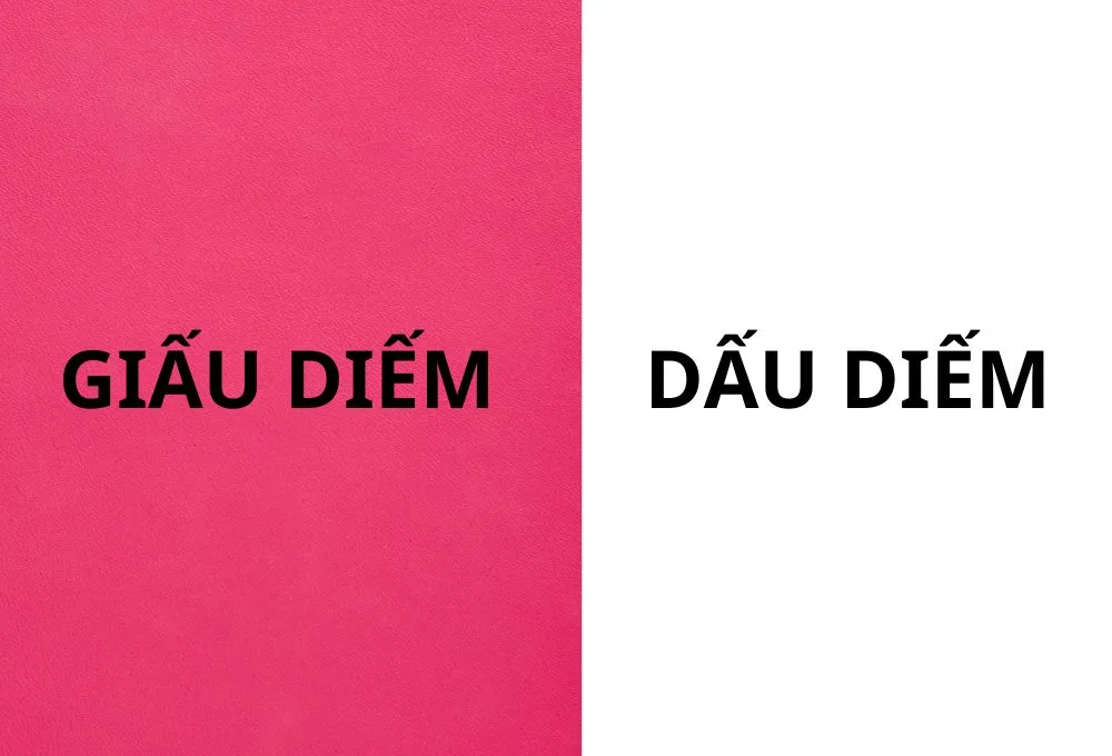 Giấu diếm với dấu diếm từ nào đúng chính tả tiếng Việt?