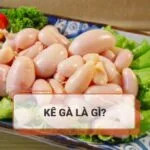 Kê gà là gì? Giá trị dinh dưỡng bất ngờ của kê gà