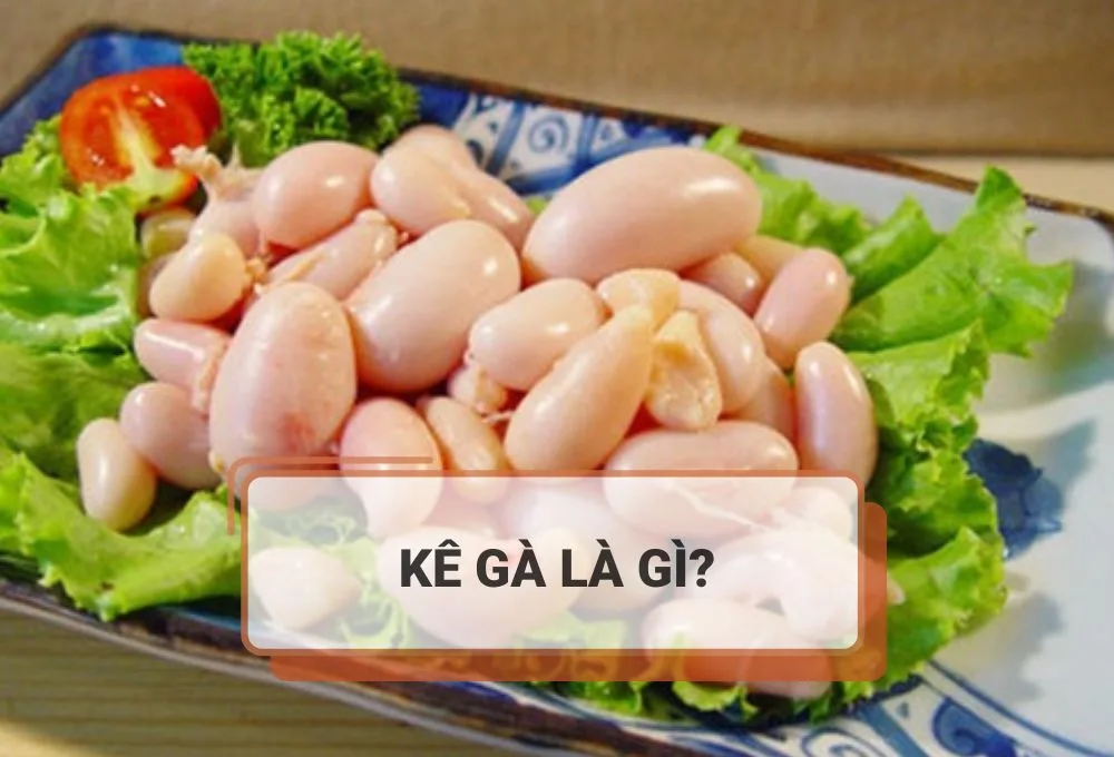 Kê gà là gì?