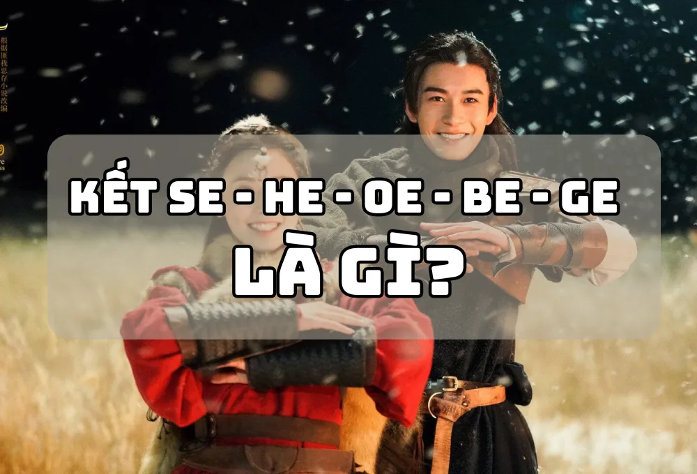 Kết SE là gì? Giải thích về tất cả các loại kết SE, BE, HE, OE, GE trong phim và tiểu thuyết