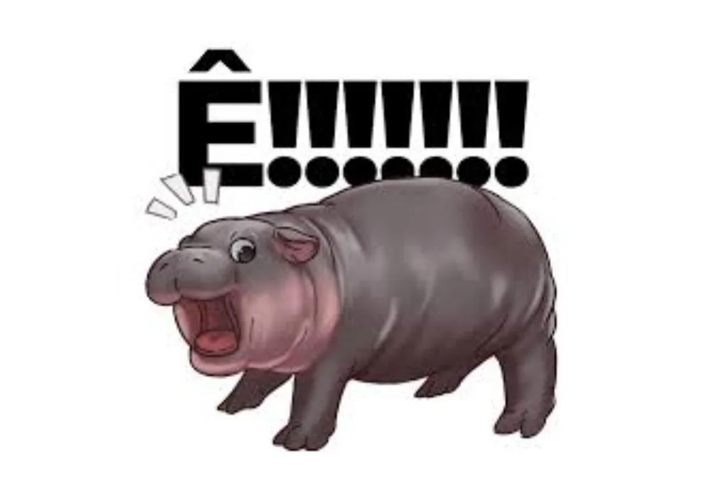 Tổng hợp ê meme độc đáo hài hước nhất