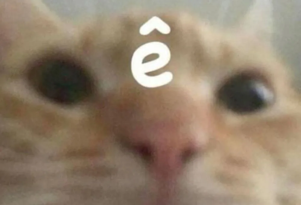 Tổng hợp ê meme độc đáo hài hước nhất