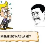 Meme sợ hãi là gì? Tổng hợp meme sợ hãi độc đáo được nhiều người sử dụng