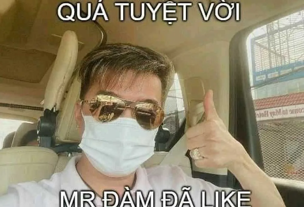 Meme Đàm Vĩnh Hưng là gì?