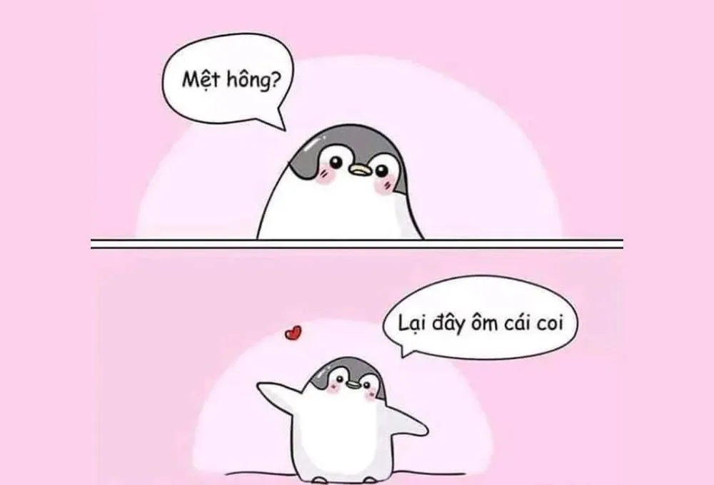 Mức độ phổ biến của meme ôm trên mạng xã hội
