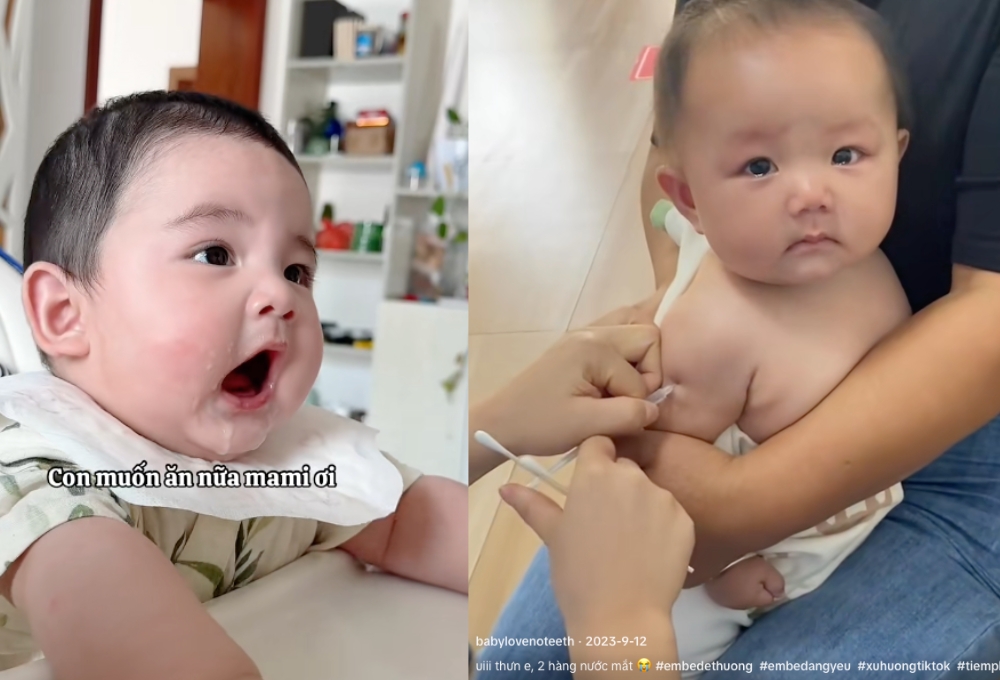 "Bọn không răng" gây sốt mạng xã hội: Xem xong chỉ muốn nựng!