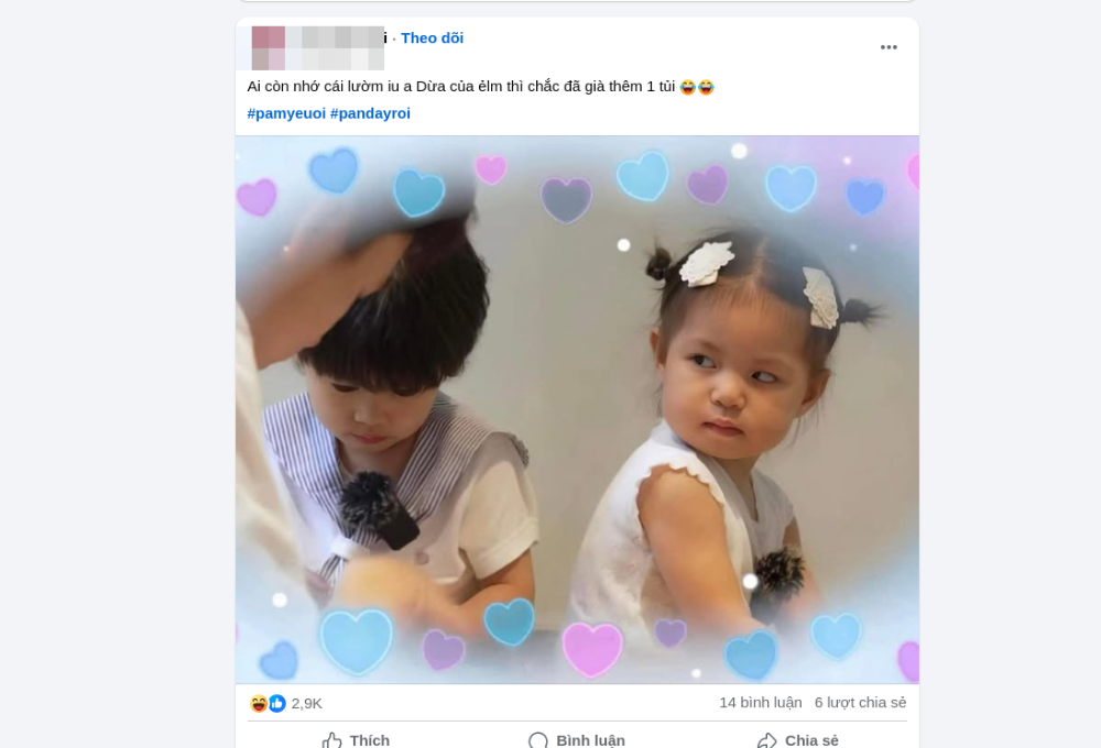 Mức độ phổ biến của Pam meme tại Việt Nam