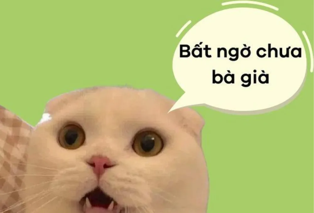 Nguồn gốc của meme bất ngờ