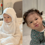 Pamela Hải Đường meme là gì? Tổng hợp các Pam meme dễ thương nhất