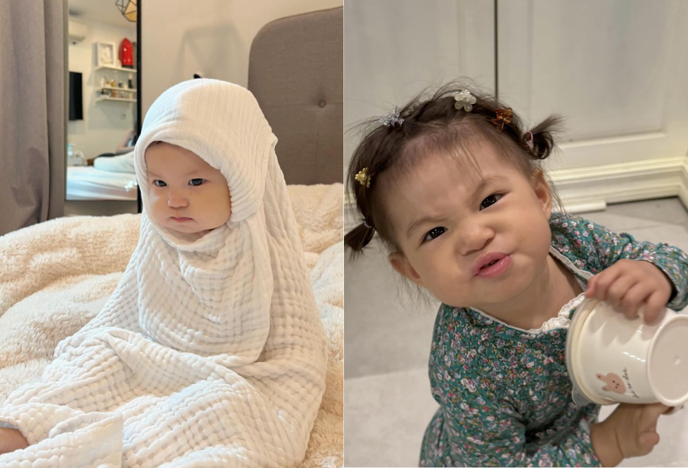 Pamela Hải Đường meme là gì?