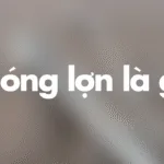 Phóng lợn là gì? Vì sao được xem là vũ khí khiến nhiều người khiếp sợ?