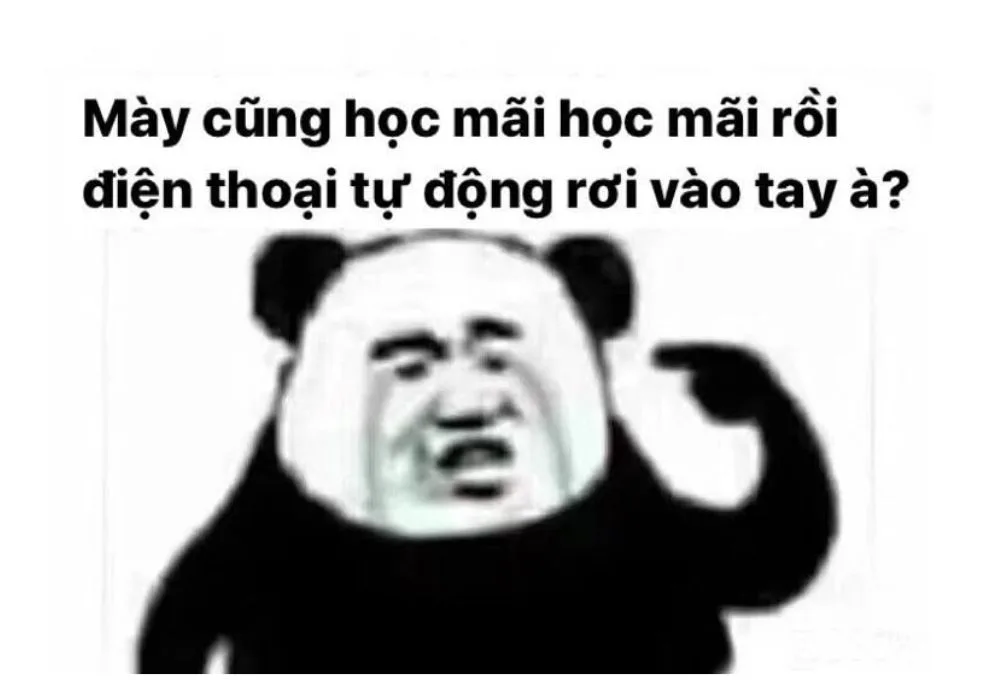 Tổng hợp các meme học bài thú vị, hài hước được cư dân mạng ưa chuộng
