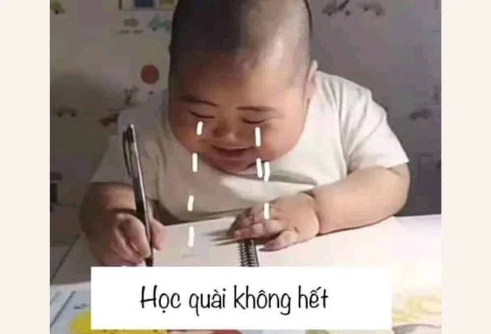 Tổng hợp các meme học bài thú vị, hài hước được cư dân mạng ưa chuộng