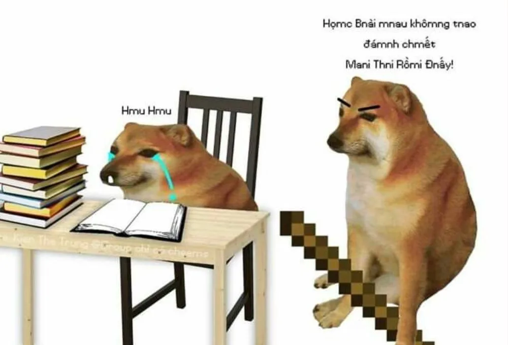 Tổng hợp các meme học bài thú vị, hài hước được cư dân mạng ưa chuộng