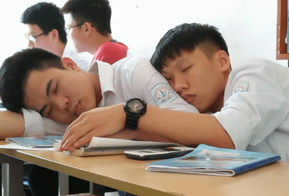 Tổng hợp các meme học bài thú vị, hài hước được cư dân mạng ưa chuộng