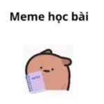 Meme học bài là gì? Tổng hợp meme học bài hài hước và thú vị của học sinh, sinh viên