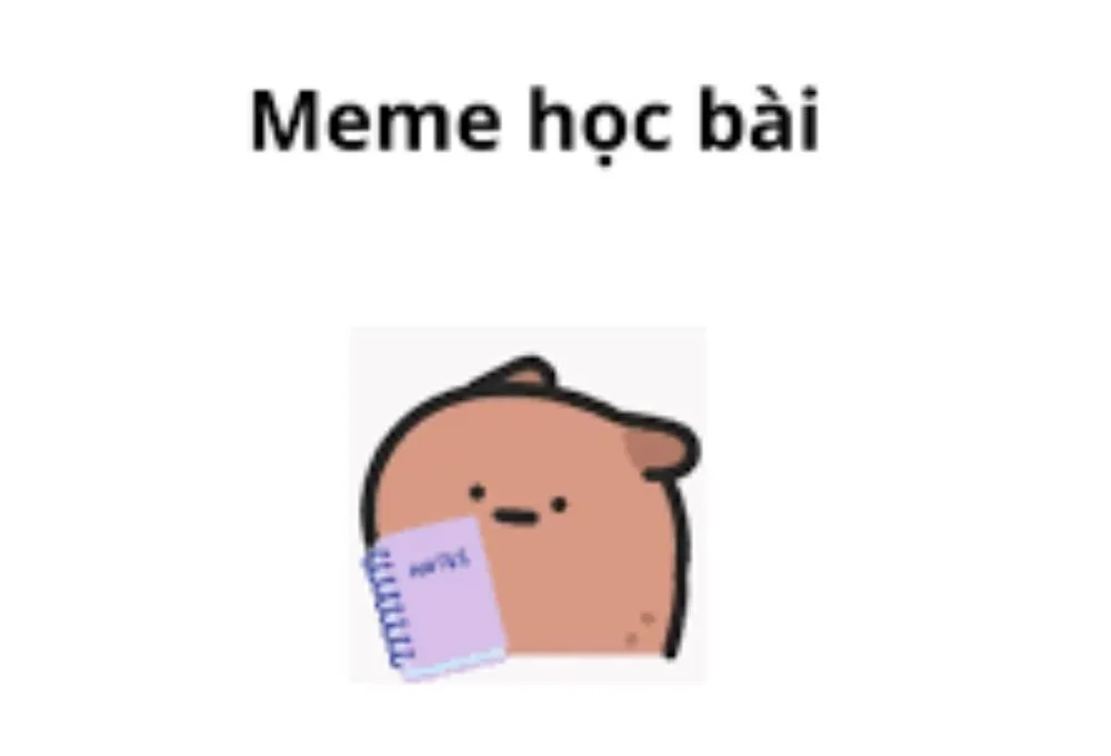 Tổng hợp các meme học bài thú vị, hài hước được cư dân mạng ưa chuộng
