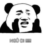 Meme chúc ngủ ngon là gì? Tổng hợp các meme ngủ ngon ý nghĩa, dễ thương