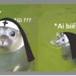 Meme rái cá là gì? Tổng hợp các meme rái cá cute, dễ thương