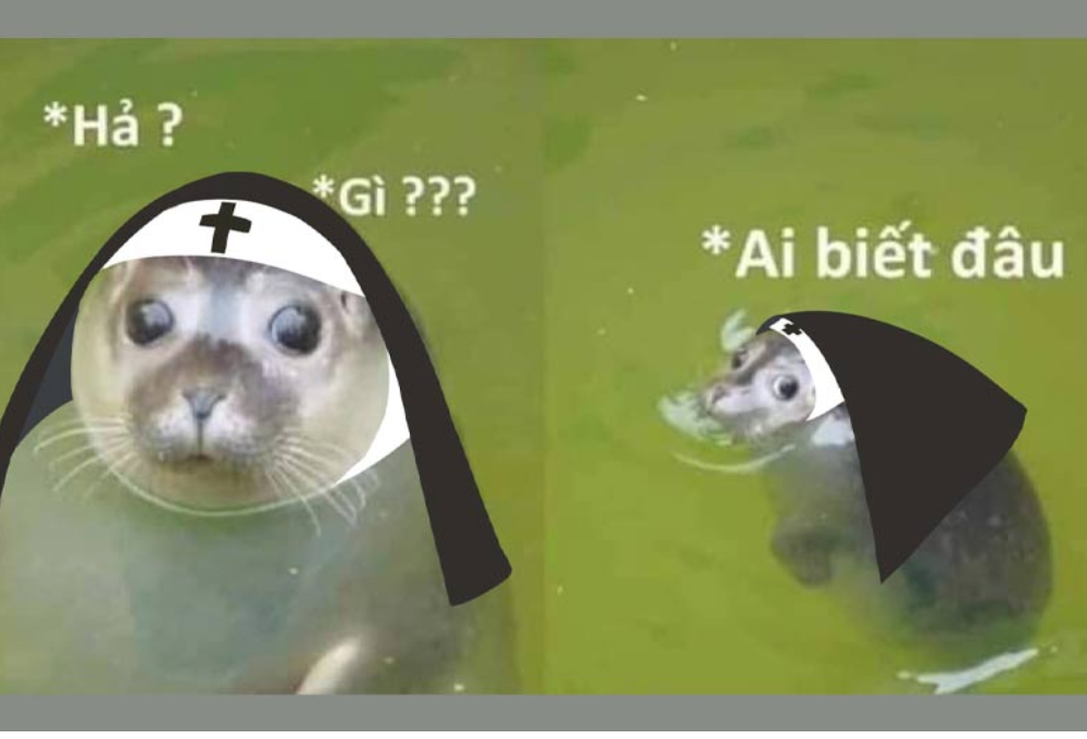 Tổng hợp các meme rái cá dễ thương