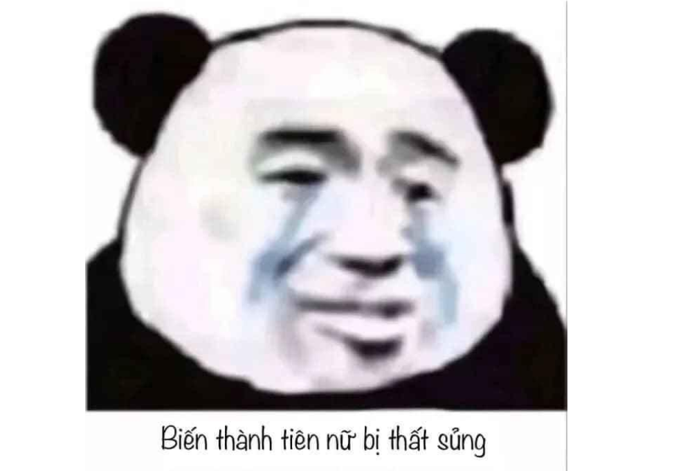 Tổng hợp các meme thất tình tâm trạng hài hước
