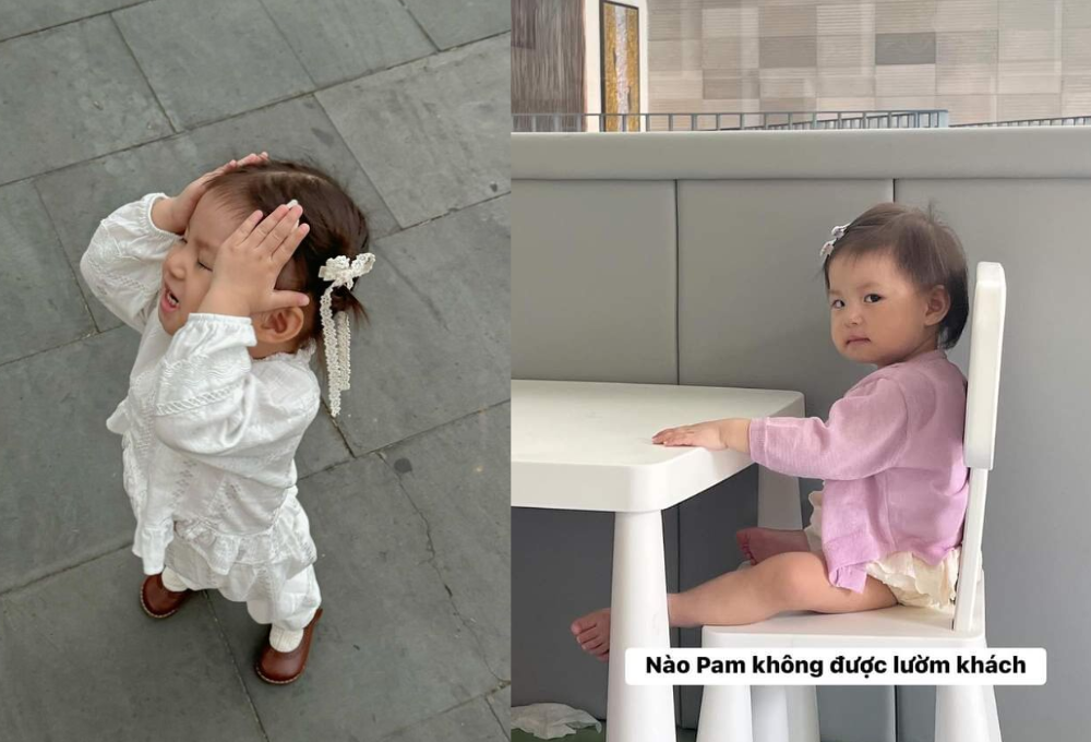 Tổng hợp các Pamela Hải Đường meme phổ biến