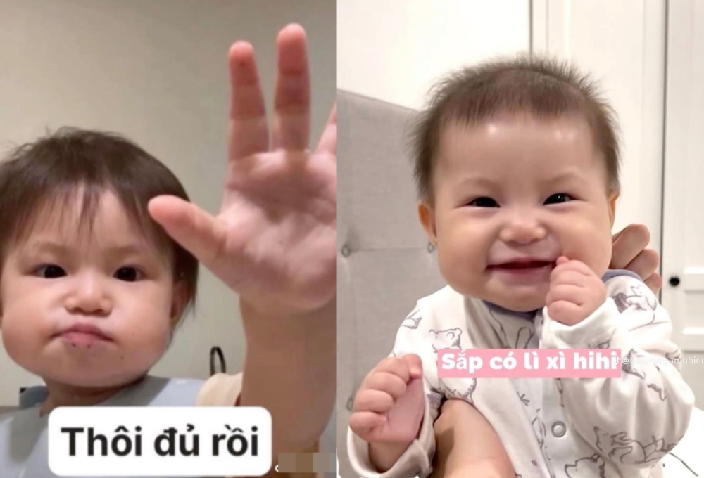 Tổng hợp các Pamela Hải Đường meme phổ biến