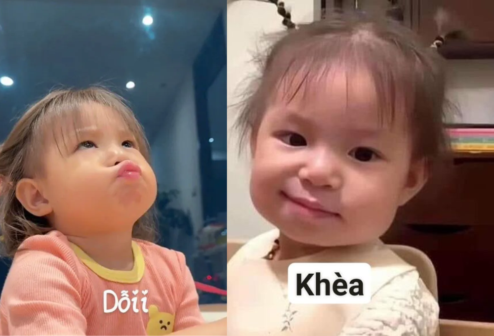 Tổng hợp các Pamela Hải Đường meme phổ biến