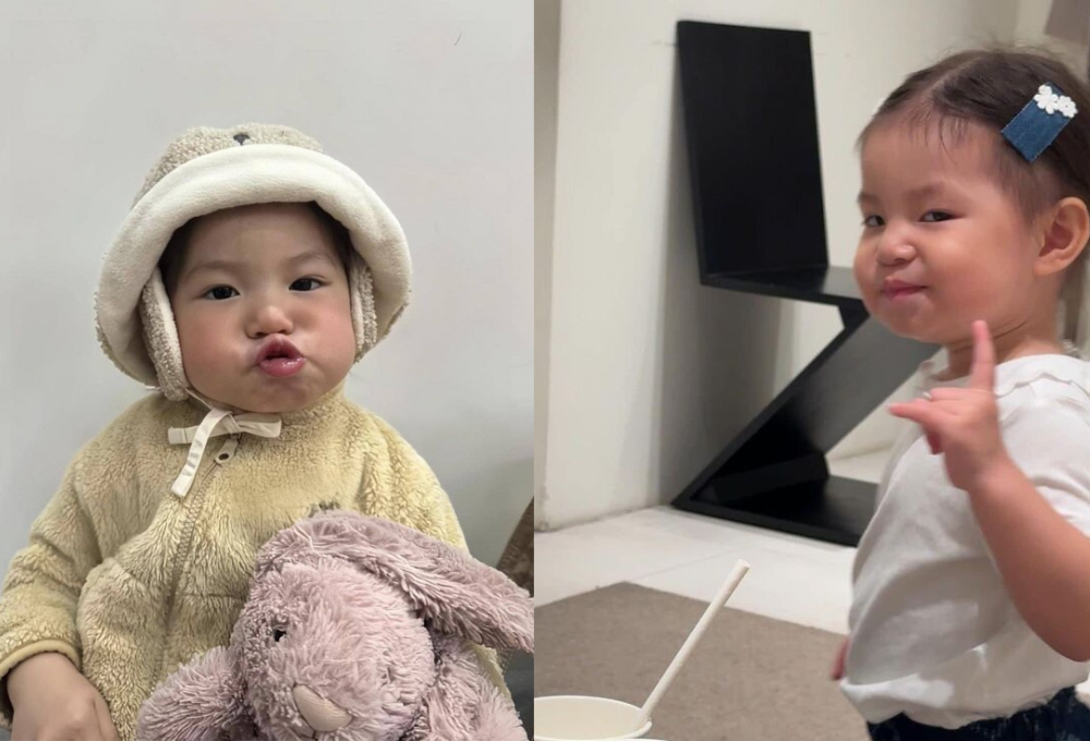 Tổng hợp các Pamela Hải Đường meme phổ biến