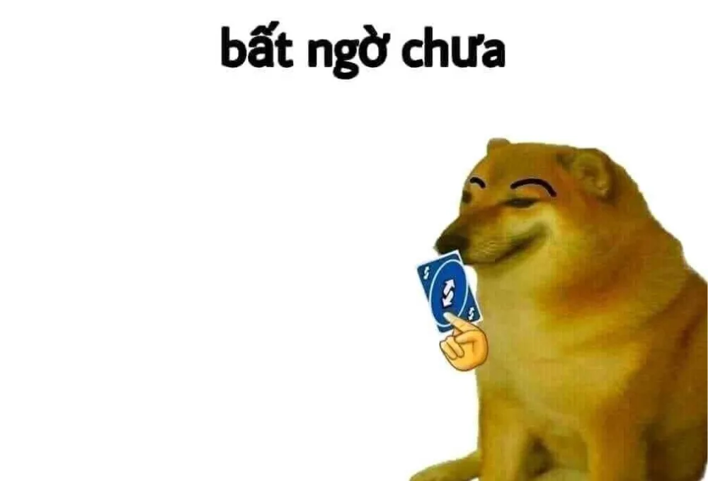 Tổng hợp meme bất ngờ thú vị