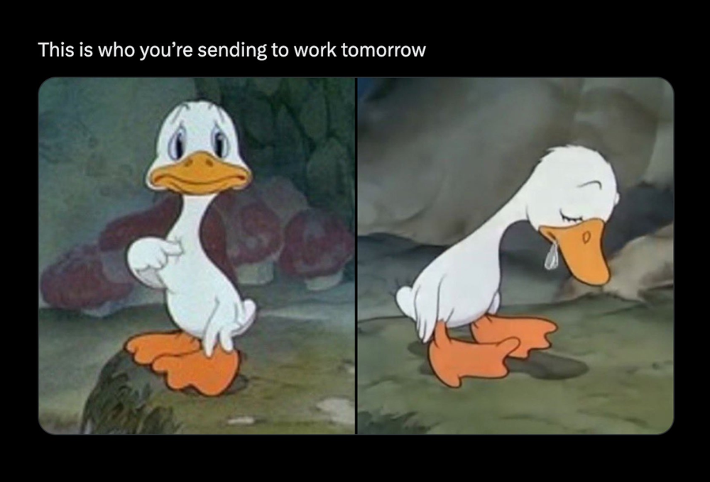 Tổng hợp meme vịt dễ thương độc đáo