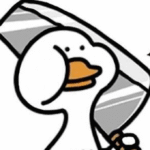 Vịt meme là gì? Tổng hợp meme vịt hài hước, dễ thương nhất