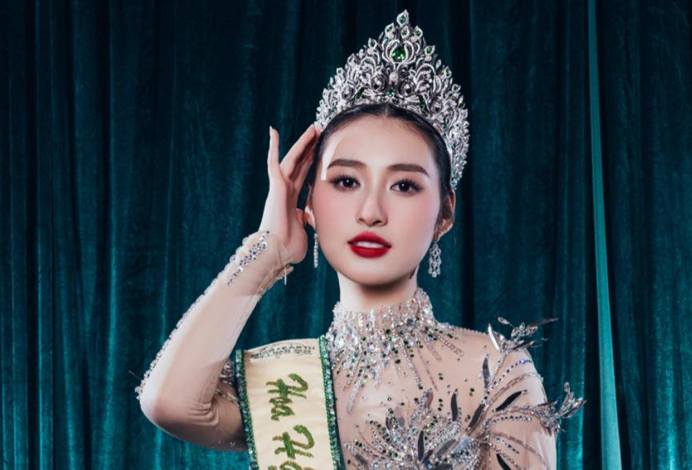 Ngô Thị Trâm Anh là ai