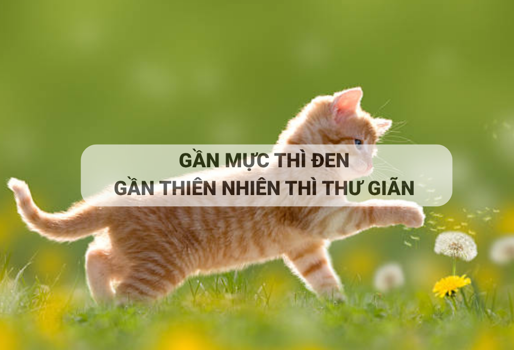 Trend “Gần mực thì đen gần thiên nhiên thì thư giãn” là gì