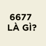 6677 là gì? Giải nghĩa, ý nghĩa và những con số tương tự giới trẻ hay dùng