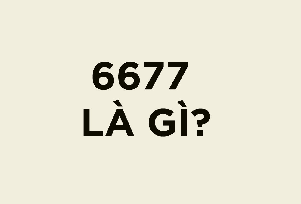 6677 là gì?