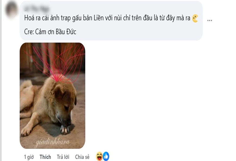 Loạt sao bị ép đu trend "Sợi chỉ đỏ"