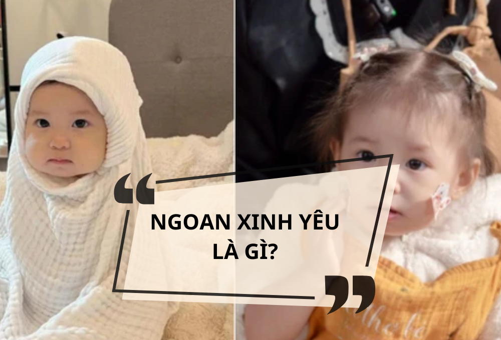 Ngoan xinh yêu là gì?