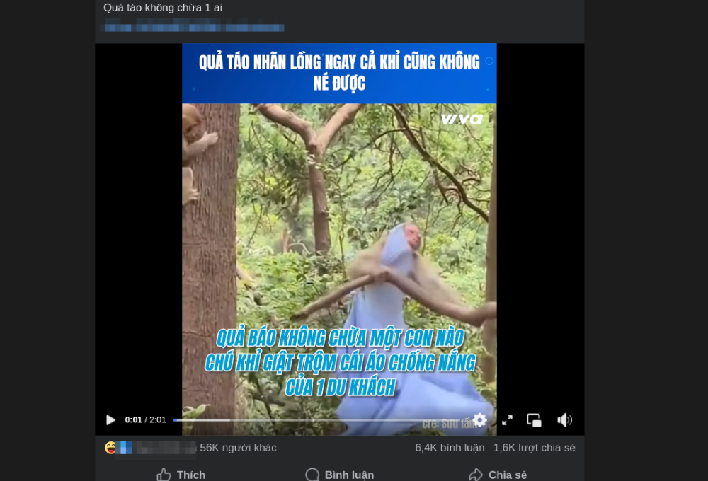 GenZ đã sử dụng “quả táo nhãn lồng” ra sao?